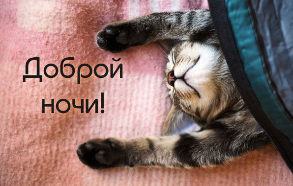 Пожелать друг другу спокойной ночи, фото 15