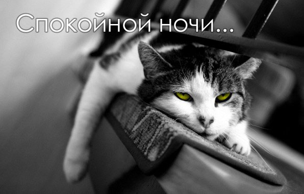 Пожелать друг другу спокойной ночи, фото 17