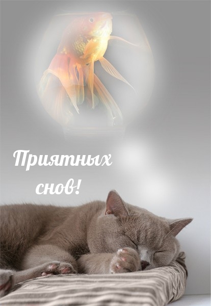 Пожелать друг другу спокойной ночи, фото 20