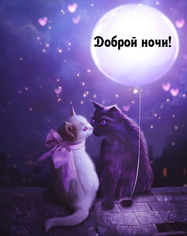 Пожелать друг другу спокойной ночи, фото 21