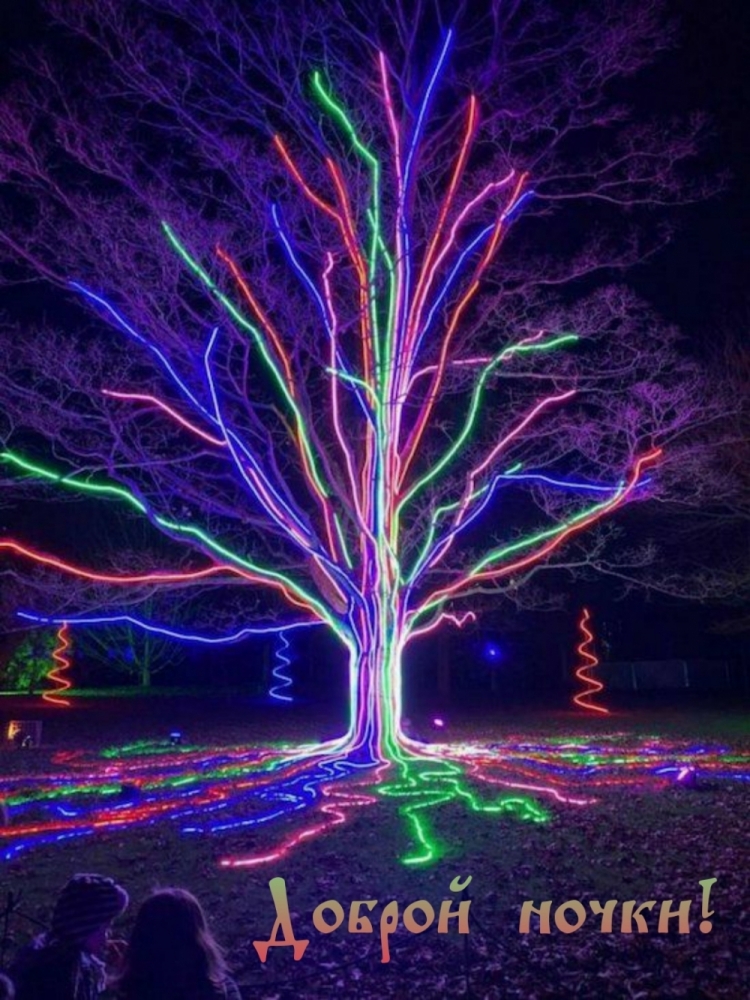 Пожелать друг другу спокойной ночи, фото 5