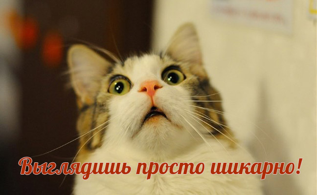 Умение говорить красивые комплименты издавна считалось искусством., фото 14