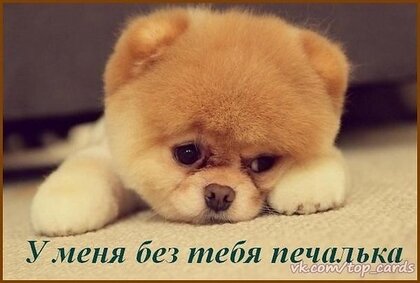 Красивые открытки на все случаи жизни!, фото 11