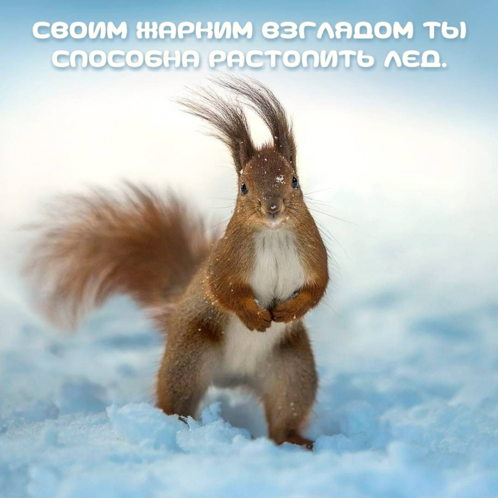 Умение говорить красивые комплименты издавна считалось искусством., фото 26