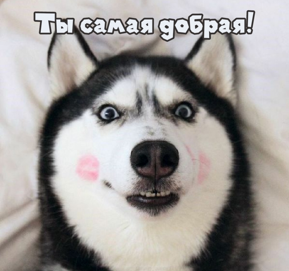 Умение говорить красивые комплименты издавна считалось искусством., фото 2