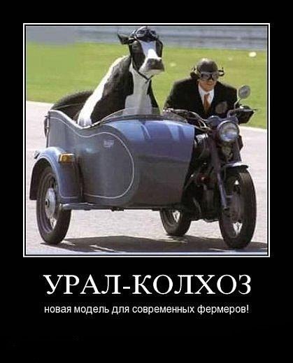 Смотрим Мото Демотиваторы, фото 23 Смотрим Мото Демотиваторы, фото 23