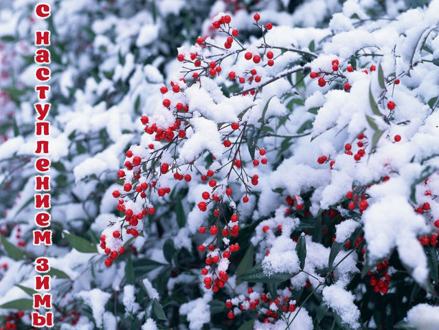 Открытки с наступлением Зимы!, фото 10 Открытки с наступлением Зимы!, фото 10