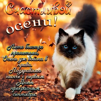 Открытки с поздравлением С началом осени, фото 3 Открытки с поздравлением С началом осени, фото 3