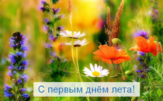 Открытки С первым днем лета!