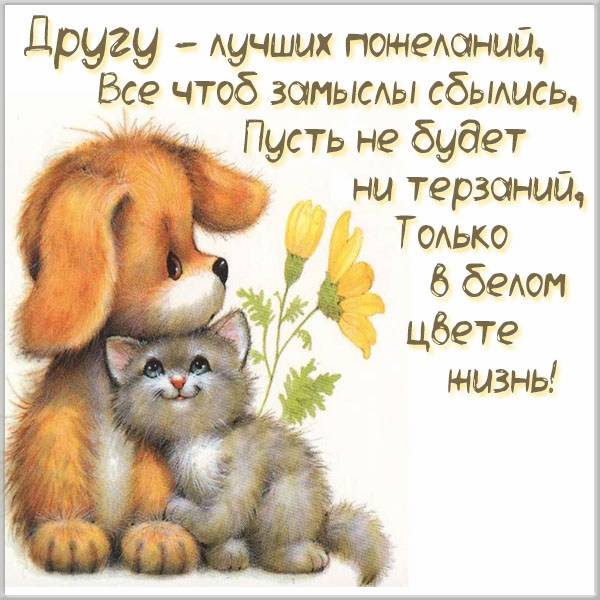 Картинки для друзей, фото 9 Картинки для друзей, фото 9