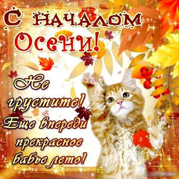 Открытки с поздравлением С началом осени, фото 9 Открытки с поздравлением С началом осени, фото 9