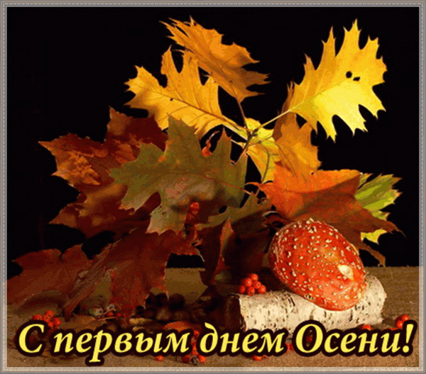 Открытки с поздравлением С началом осени, фото 4 Открытки с поздравлением С началом осени, фото 4