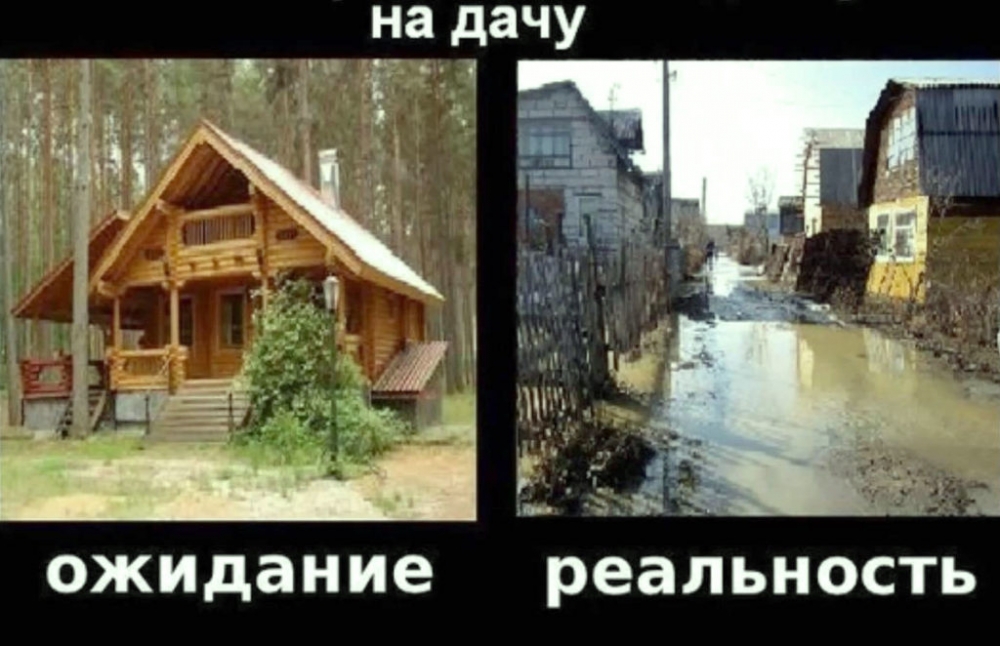 Ожидание и реальность, фото 25 Ожидание и реальность, фото 25