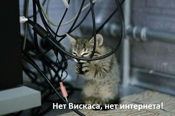 Подборка свежие прикольные картинки, мемы, смешные фотографии, фотожабы!, фото 9 Подборка свежие прикольные картинки, мемы, смешные фотографии, фотожабы!, фото 9