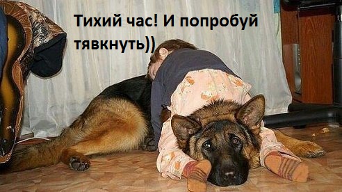 Подборка свежие прикольные картинки, мемы, смешные фотографии, фотожабы!, фото 10 Подборка свежие прикольные картинки, мемы, смешные фотографии, фотожабы!, фото 10