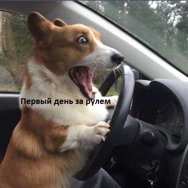 Подборка свежие прикольные картинки, мемы, смешные фотографии, фотожабы!, фото 12 Подборка свежие прикольные картинки, мемы, смешные фотографии, фотожабы!, фото 12