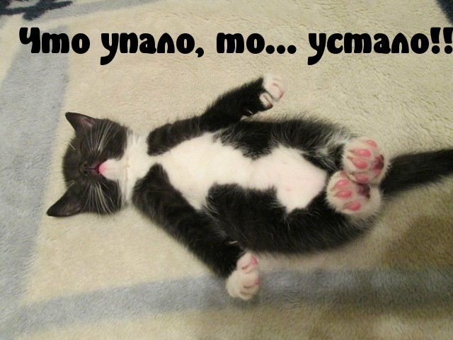 Подборка свежие прикольные картинки, мемы, смешные фотографии, фотожабы!, фото 2 Подборка свежие прикольные картинки, мемы, смешные фотографии, фотожабы!, фото 2