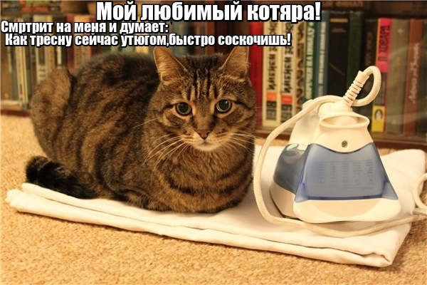 Подборка свежие прикольные картинки, мемы, смешные фотографии, фотожабы!, фото 15 Подборка свежие прикольные картинки, мемы, смешные фотографии, фотожабы!, фото 15