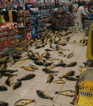 Подборка свежие прикольные картинки, мемы, смешные фотографии, фотожабы!, фото 19 Подборка свежие прикольные картинки, мемы, смешные фотографии, фотожабы!, фото 19