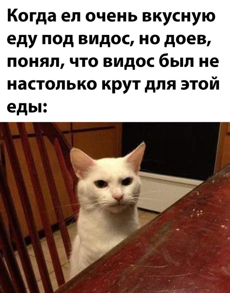 Подборка свежие прикольные картинки, мемы, смешные фотографии, фотожабы!, фото 29 Подборка свежие прикольные картинки, мемы, смешные фотографии, фотожабы!, фото 29