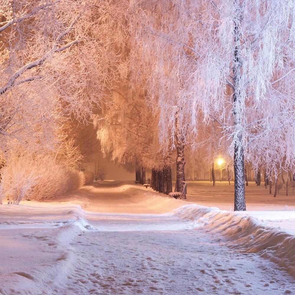 Мороз и солнце - день чудесный!, фото 1 Мороз и солнце - день чудесный!, фото 1
