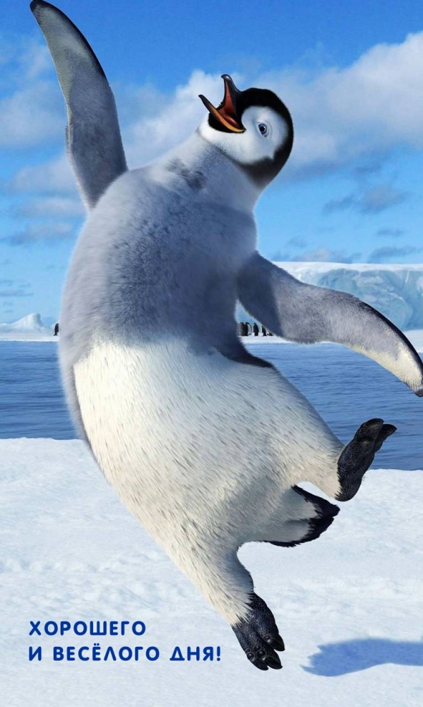 Добрые Пожелание., фото 10 Добрые Пожелание., фото 10