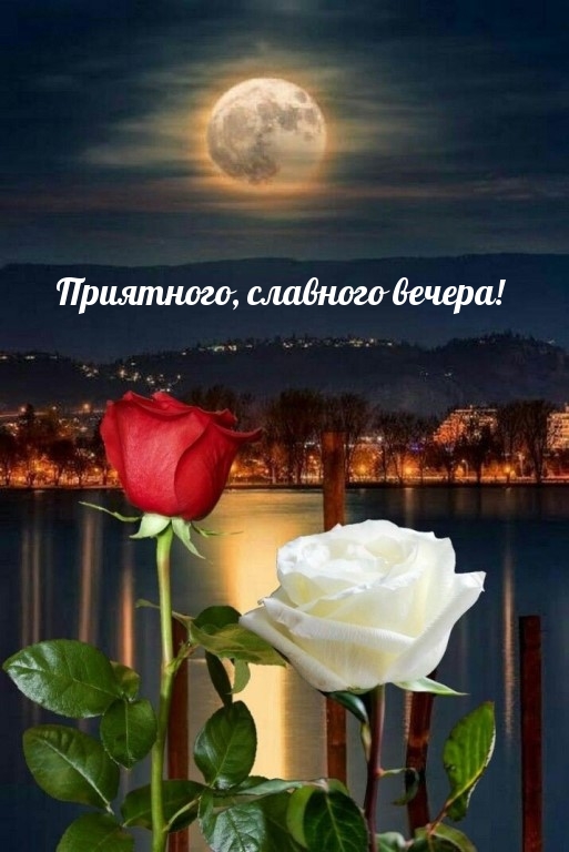 Добрые Пожелание., фото 14 Добрые Пожелание., фото 14