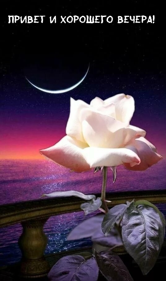 Добрые Пожелание., фото 15 Добрые Пожелание., фото 15