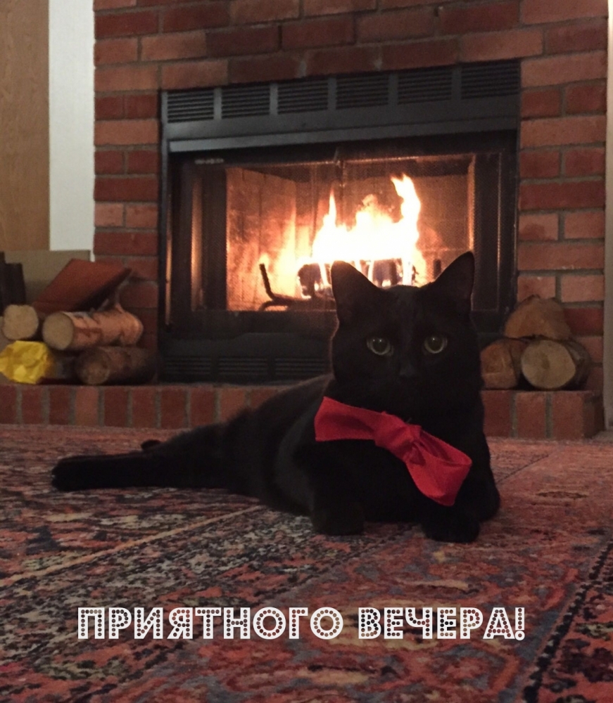 Добрые Пожелание., фото 17 Добрые Пожелание., фото 17