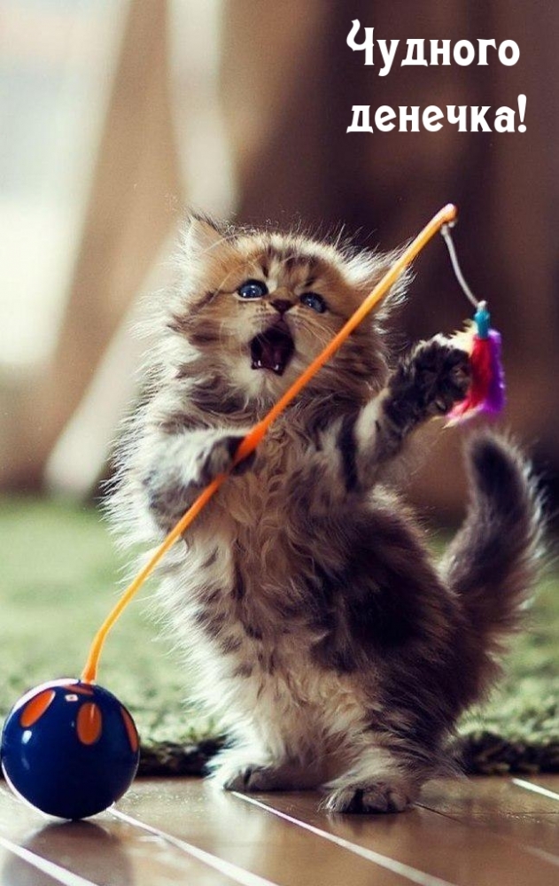 Добрые Пожелание., фото 20 Добрые Пожелание., фото 20