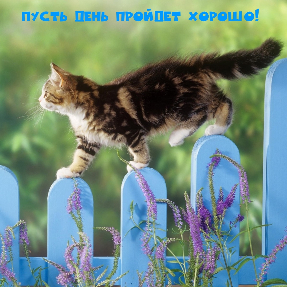 Добрые Пожелание., фото 22 Добрые Пожелание., фото 22