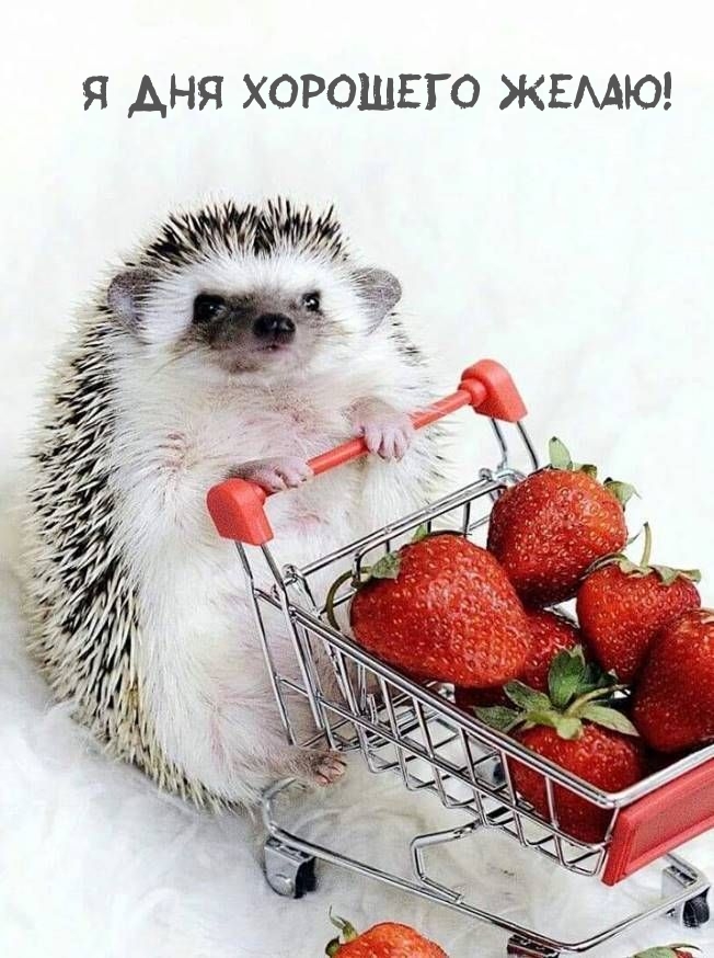 Добрые Пожелание., фото 21 Добрые Пожелание., фото 21