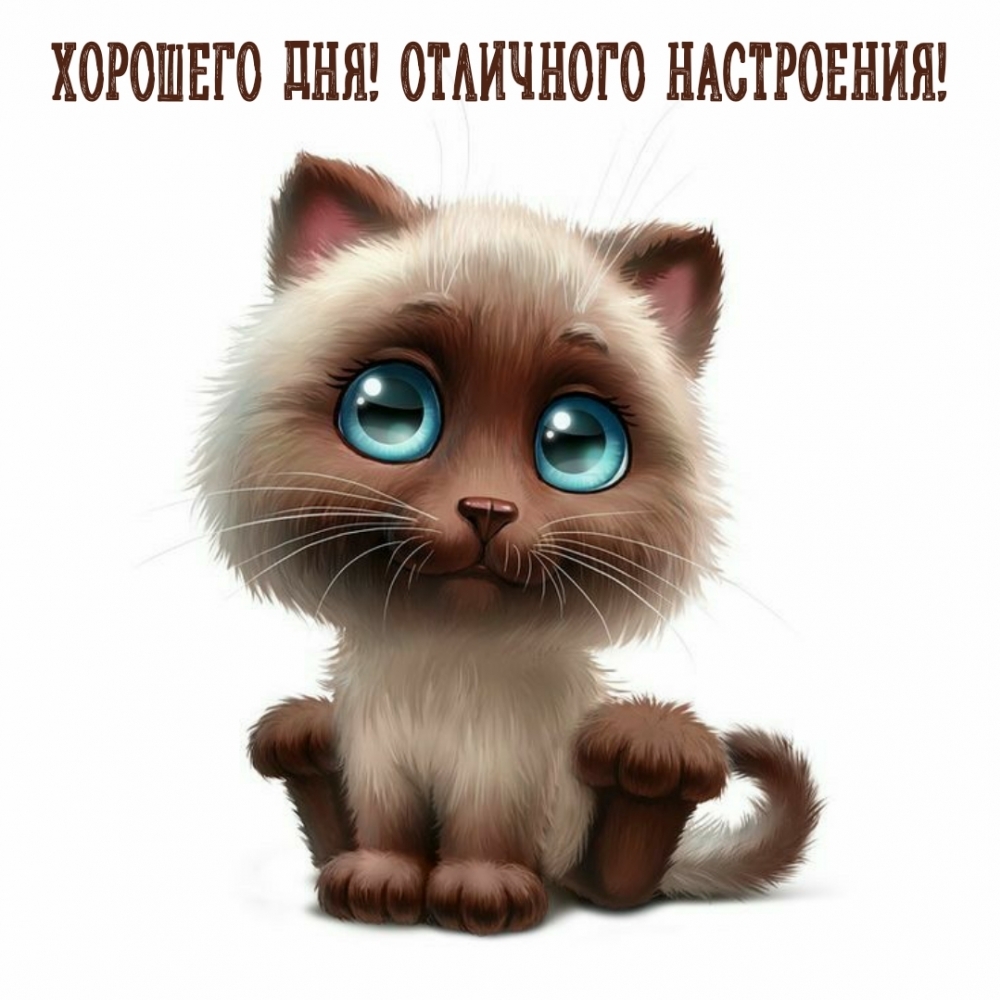 Добрые Пожелание., фото 29 Добрые Пожелание., фото 29