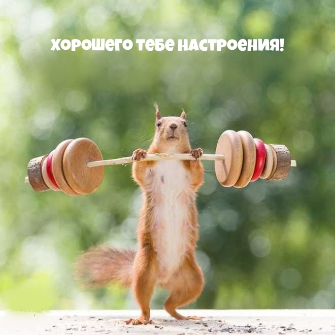 Открытки по теме хорошее настроение, фото 19 Открытки по теме хорошее настроение, фото 19