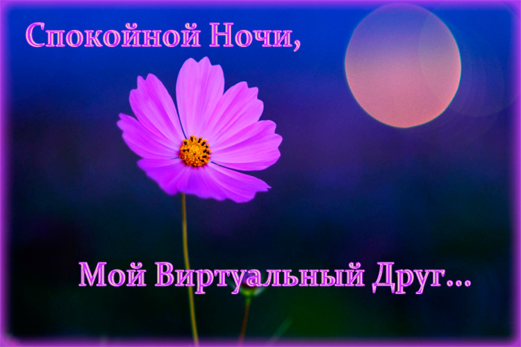 Открытки для верных друзей, фото 5 Открытки для верных друзей, фото 5