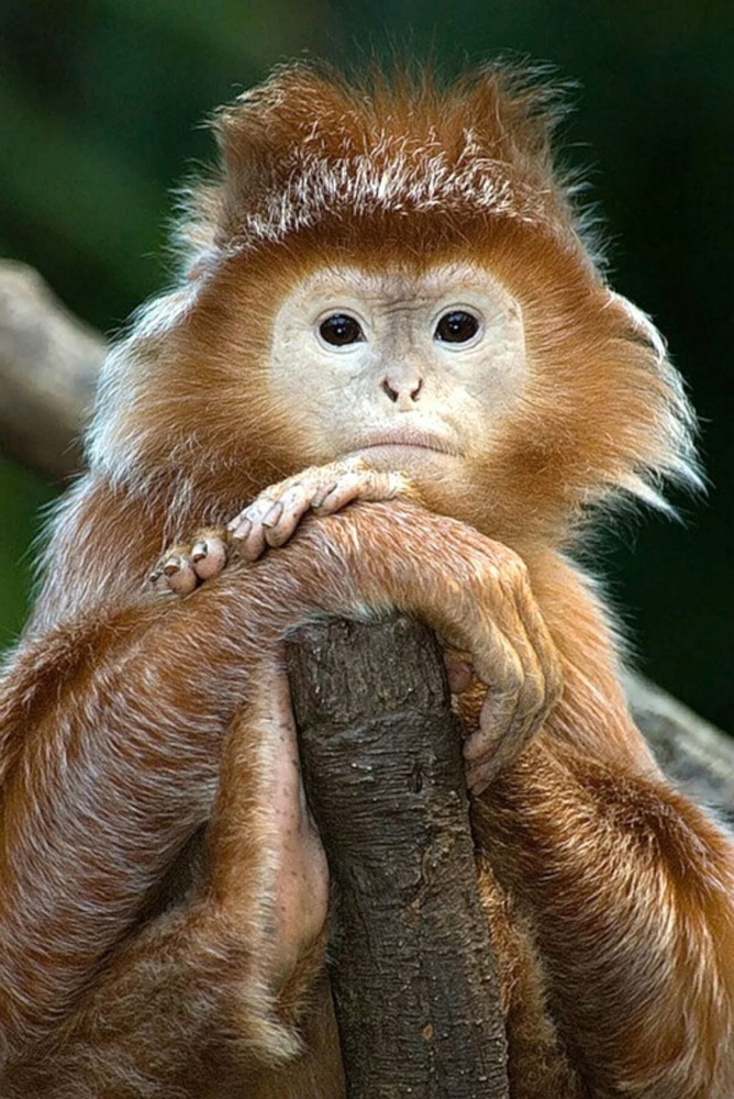 Подборка ржачных картинок для настроения, фото 6 Подборка ржачных картинок для настроения, фото 6