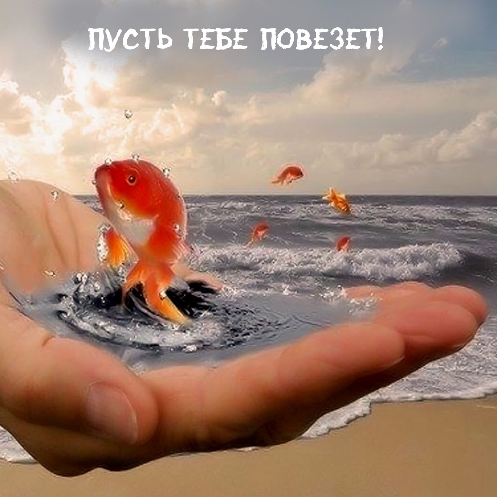 Настроение для друзей и близких!, фото 13 Настроение для друзей и близких!, фото 13