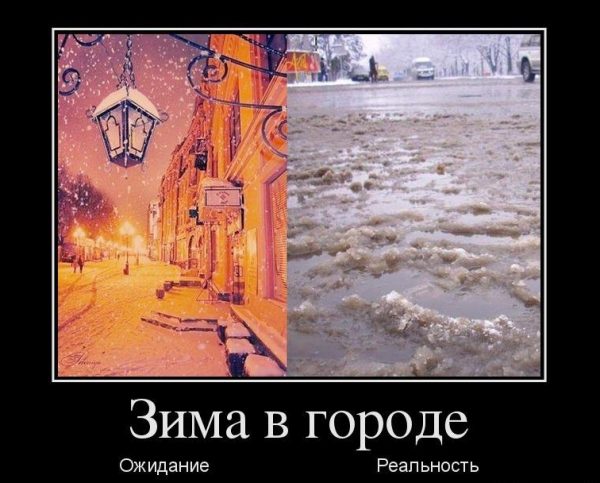 Забавно наблюдать реальность в виде фото-приколов., фото 18