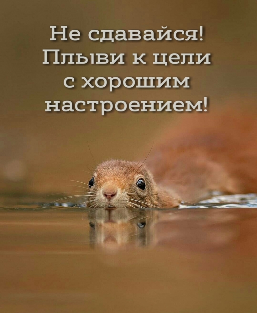 Настроение для друзей и близких!, фото 25 Настроение для друзей и близких!, фото 25