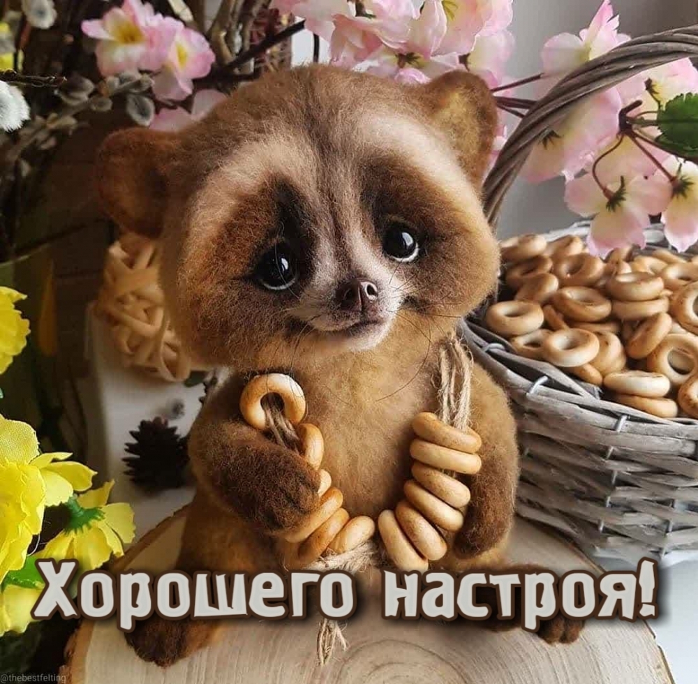 Настроение для друзей и близких!, фото 26 Настроение для друзей и близких!, фото 26