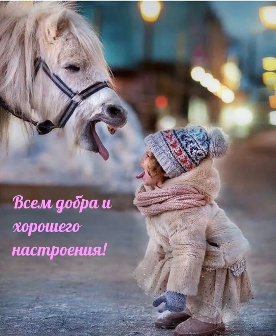 Настроение для друзей и близких!, фото 28 Настроение для друзей и близких!, фото 28