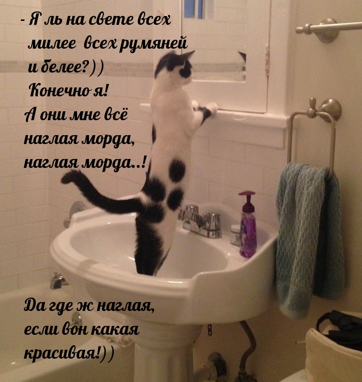 Настроение для друзей и близких!, фото 29 Настроение для друзей и близких!, фото 29