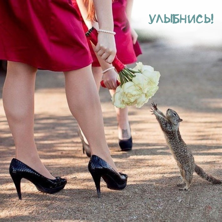 Настроение для друзей и близких!, фото 30 Настроение для друзей и близких!, фото 30