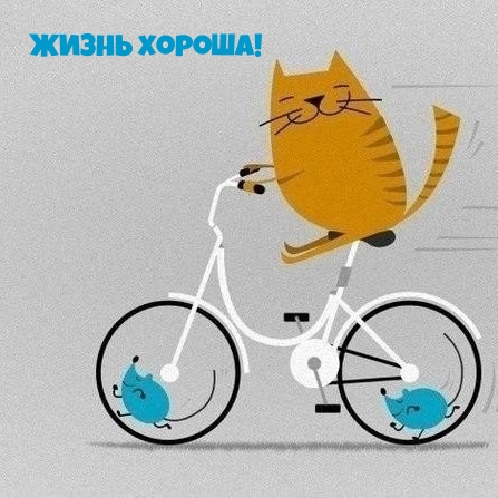 Настроение для друзей и близких!, фото 31 Настроение для друзей и близких!, фото 31