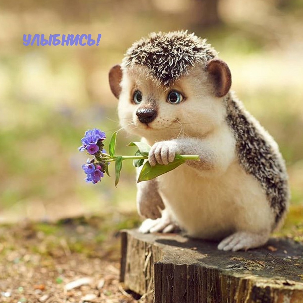 Настроение для друзей и близких!, фото 7 Настроение для друзей и близких!, фото 7