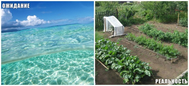 Забавно наблюдать реальность в виде фото-приколов., фото 12