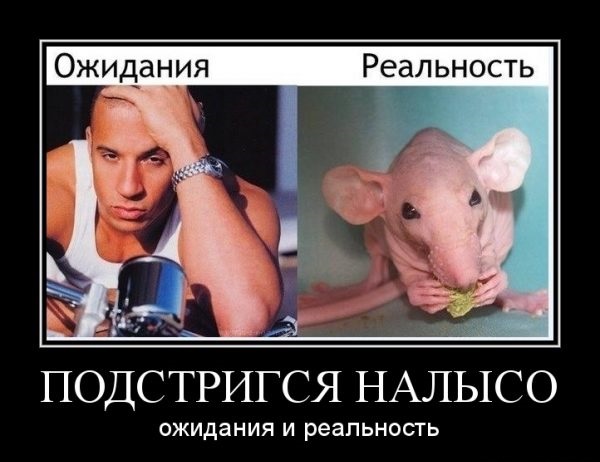 Забавно наблюдать реальность в виде фото-приколов., фото 14