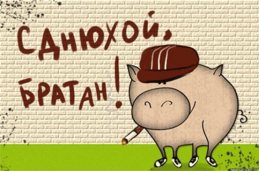 Смешные картинки с днём рождения, фото 4 Смешные картинки с днём рождения, фото 4