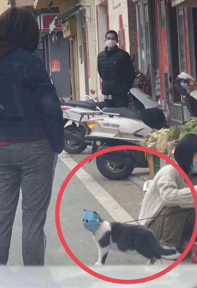 COVID позитивчик, фото 4 COVID позитивчик, фото 4