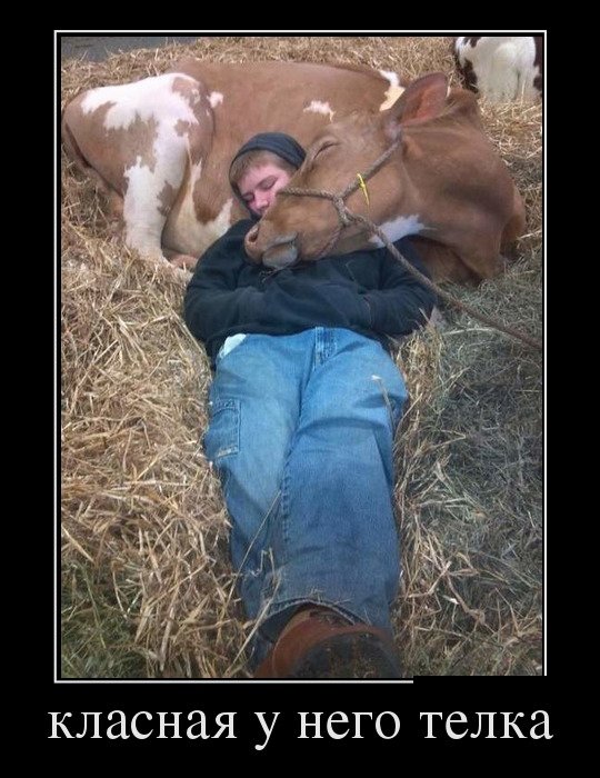 Фото приколы и казусы, фото 10